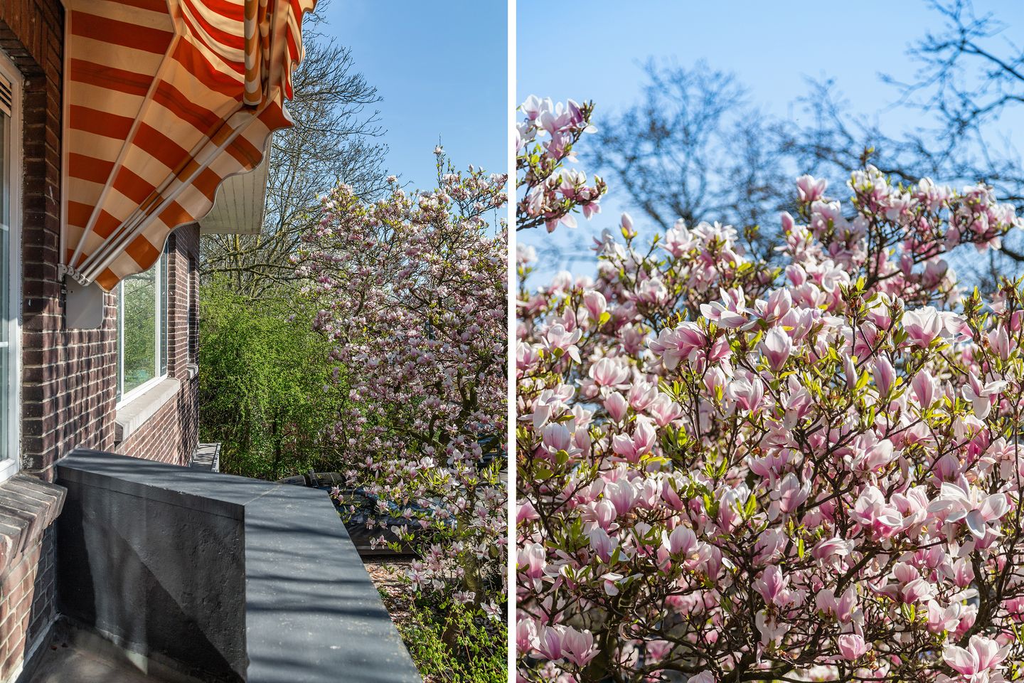 Foto 35 van 2e Hogenbanweg 24