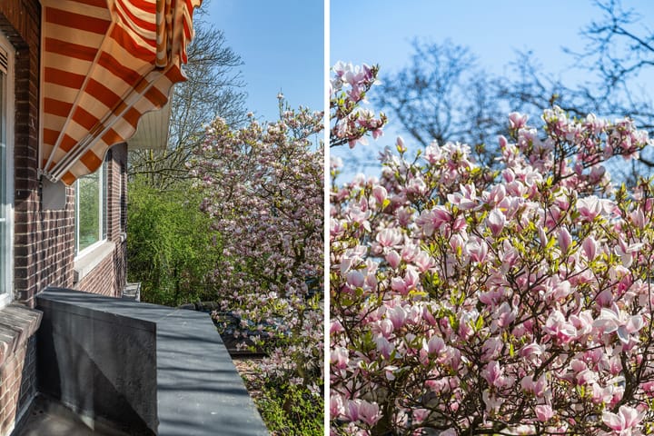 Foto 35 van 2e Hogenbanweg 24