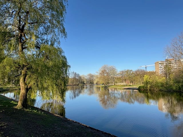 Foto 41 van Meerestein 6