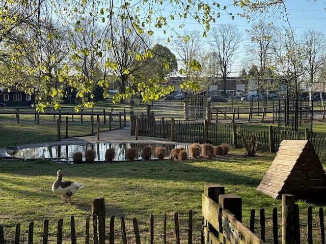 Foto 43 van Meerestein 6