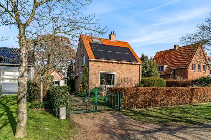 undefined main image