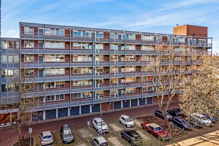Kievitstraat 10