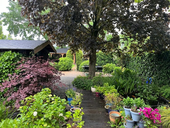 Foto 50 van De Groendijck 19