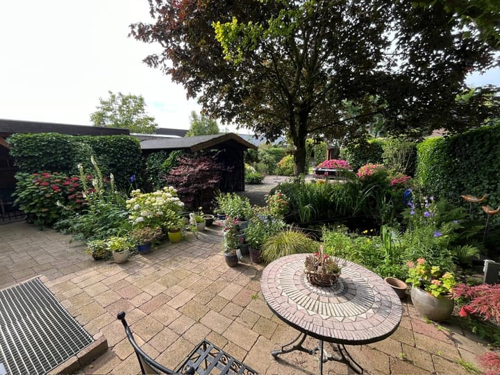 Foto 51 van De Groendijck 19