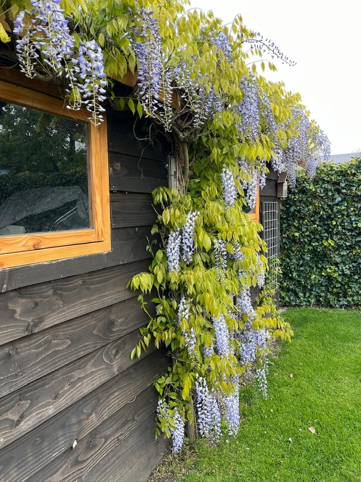 Foto 59 van De Groendijck 19