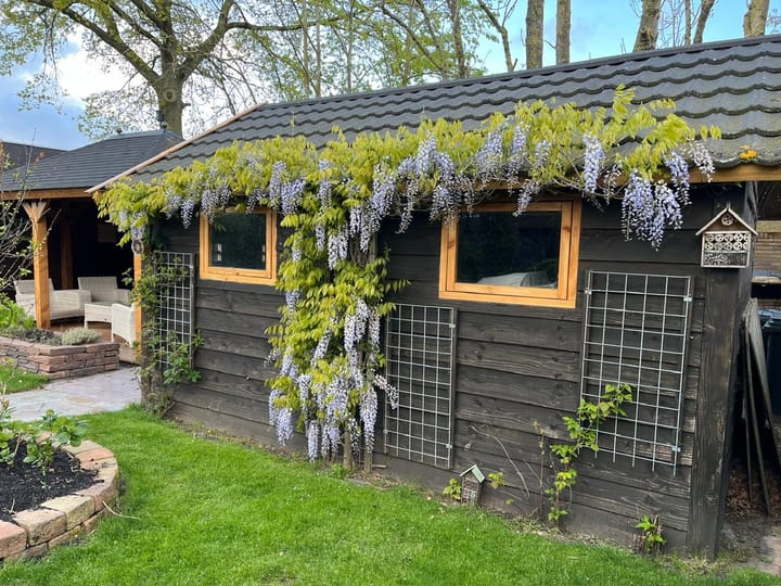 Foto 60 van De Groendijck 19