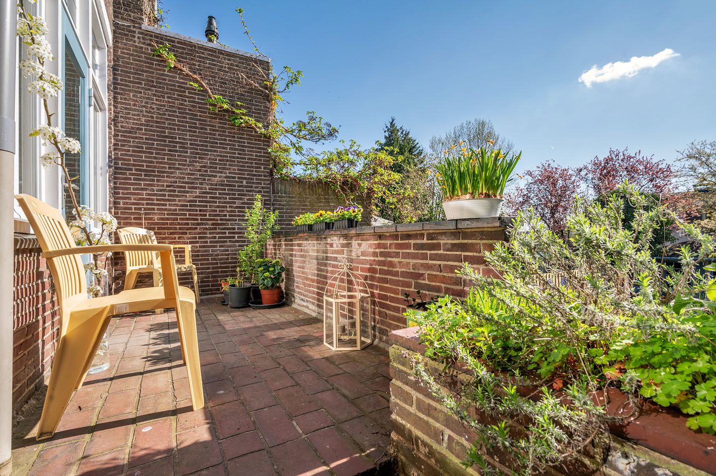 Photo 10 of Pontanusstraat 45