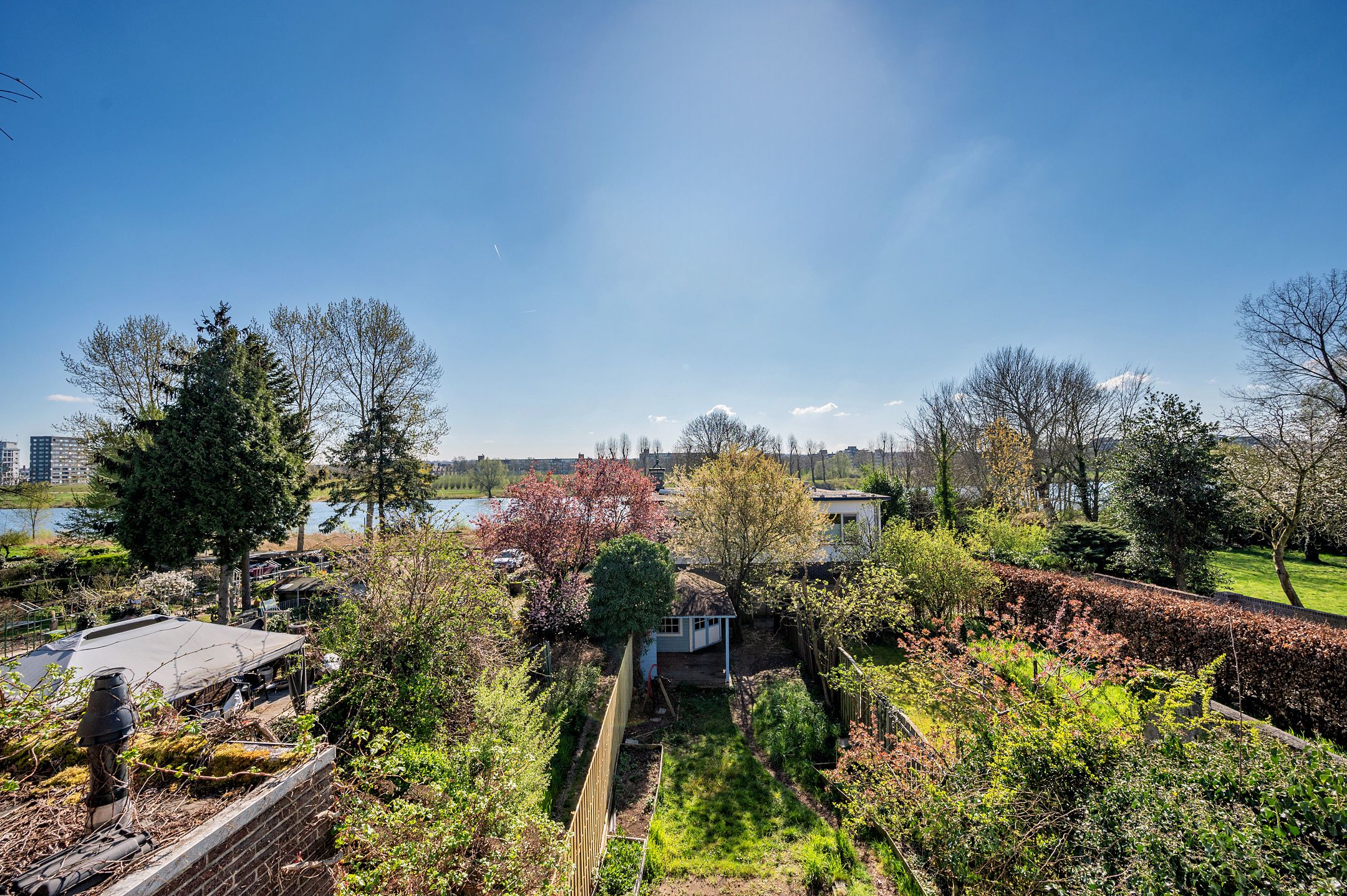 Photo 36 of Pontanusstraat 45