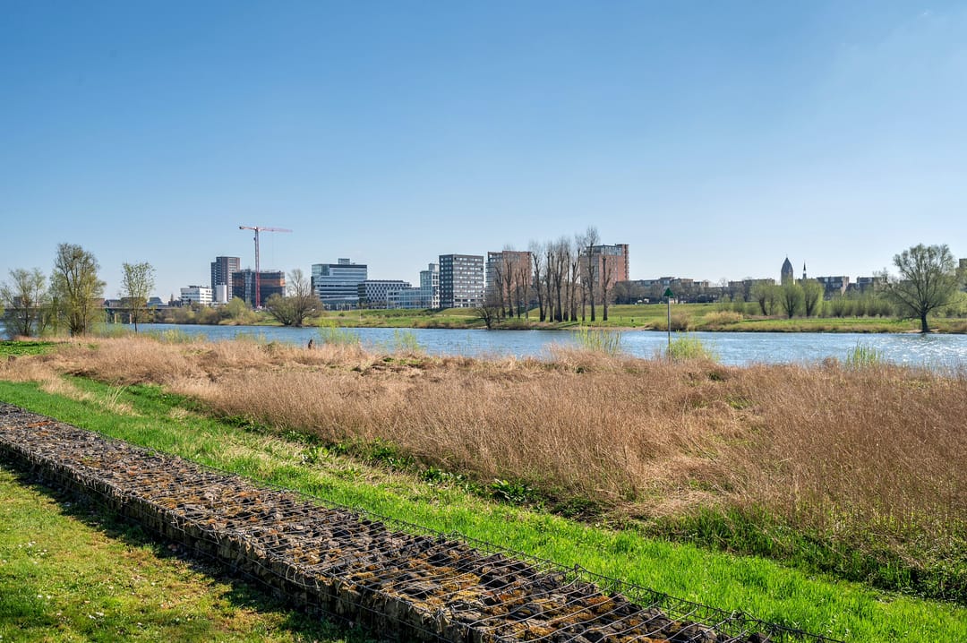 Photo 77 of Pontanusstraat 45