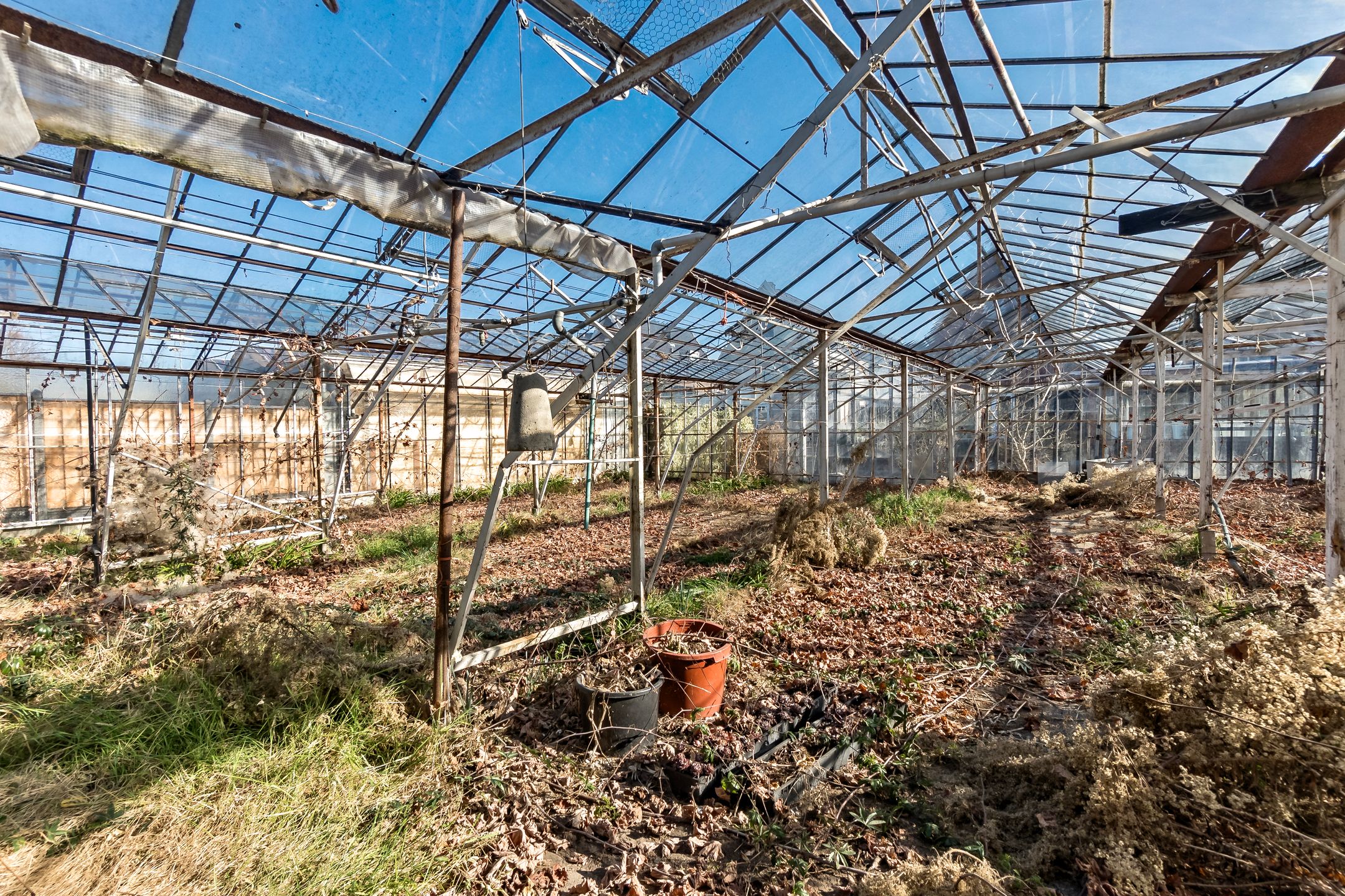 Photo 18 of Kwaklaan 44