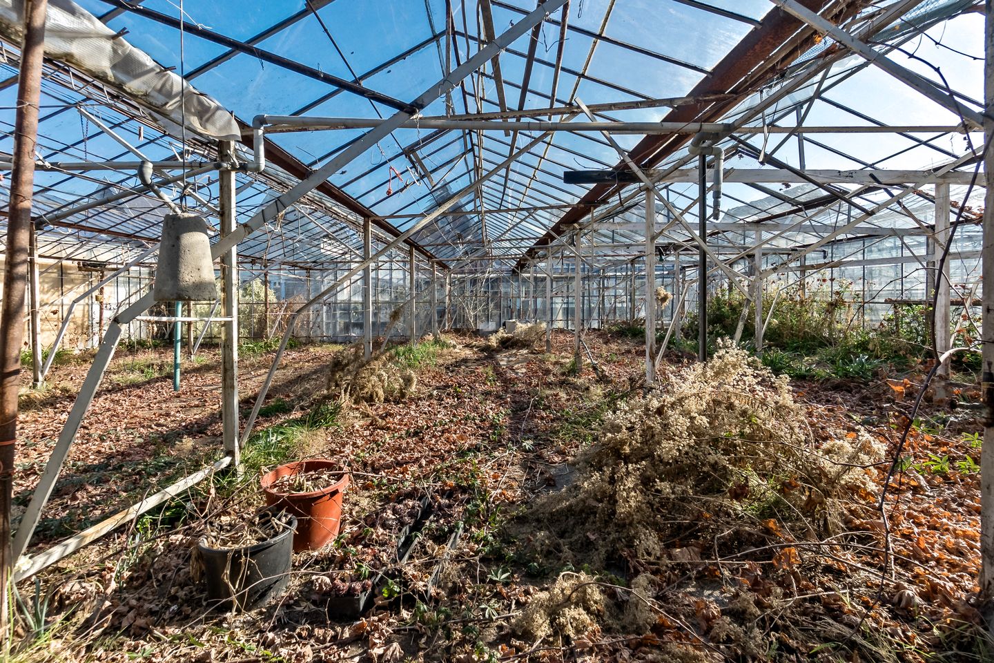 Photo 19 of Kwaklaan 44