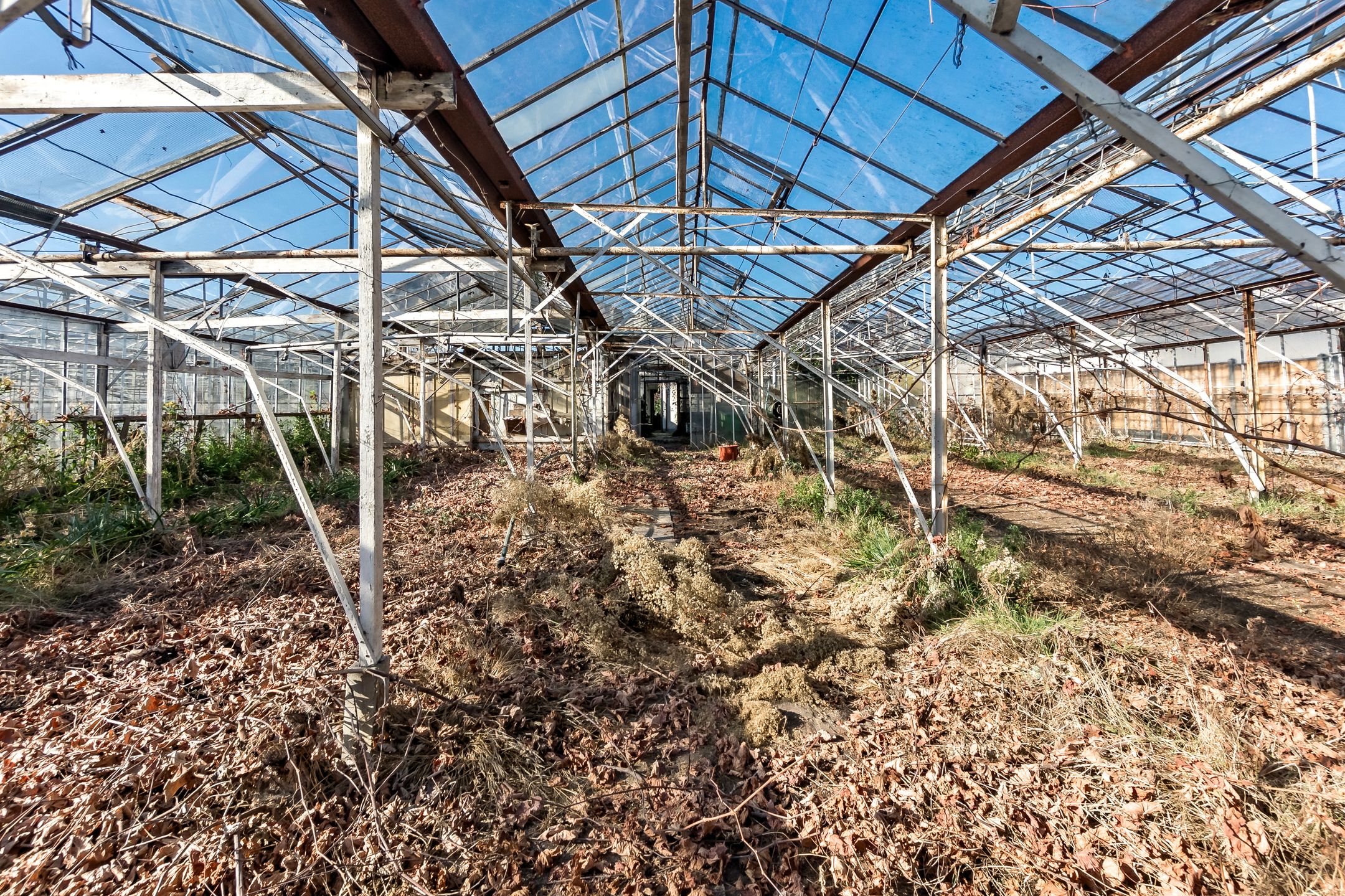 Photo 21 of Kwaklaan 44