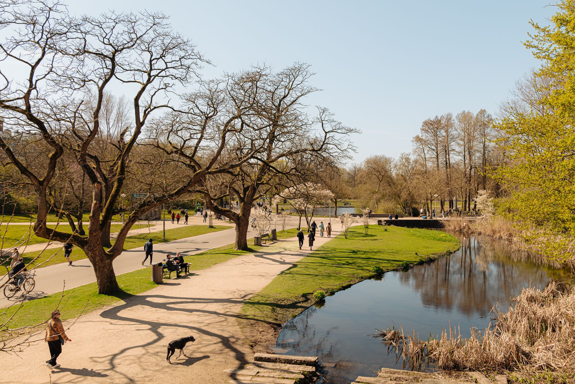Foto 27 van Koninginneweg 192-E