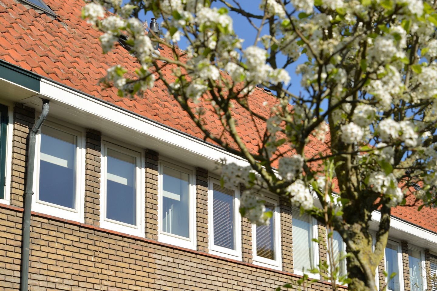 Foto 25 van Hazenstraat 67