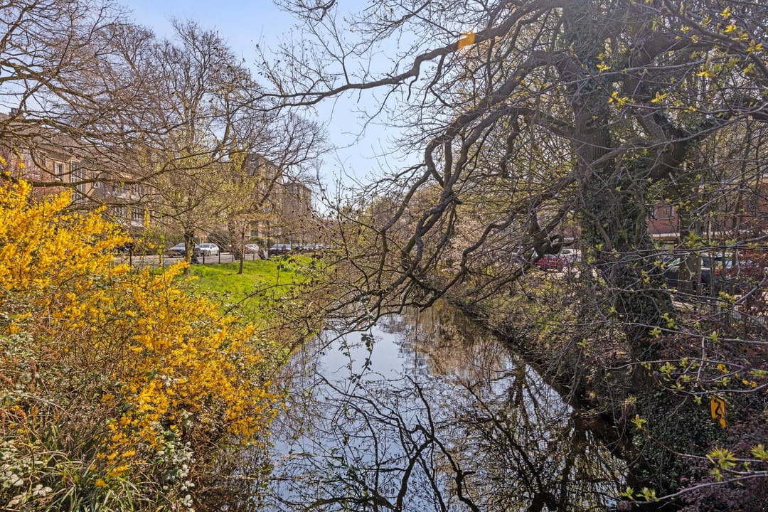 Foto 38 van Wassenaarseweg 183