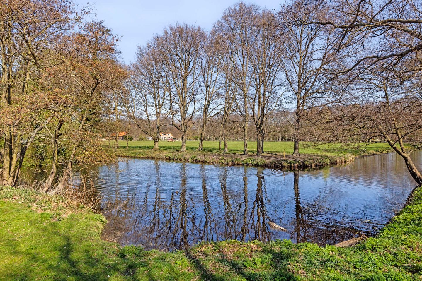 Foto 40 van Wassenaarseweg 183