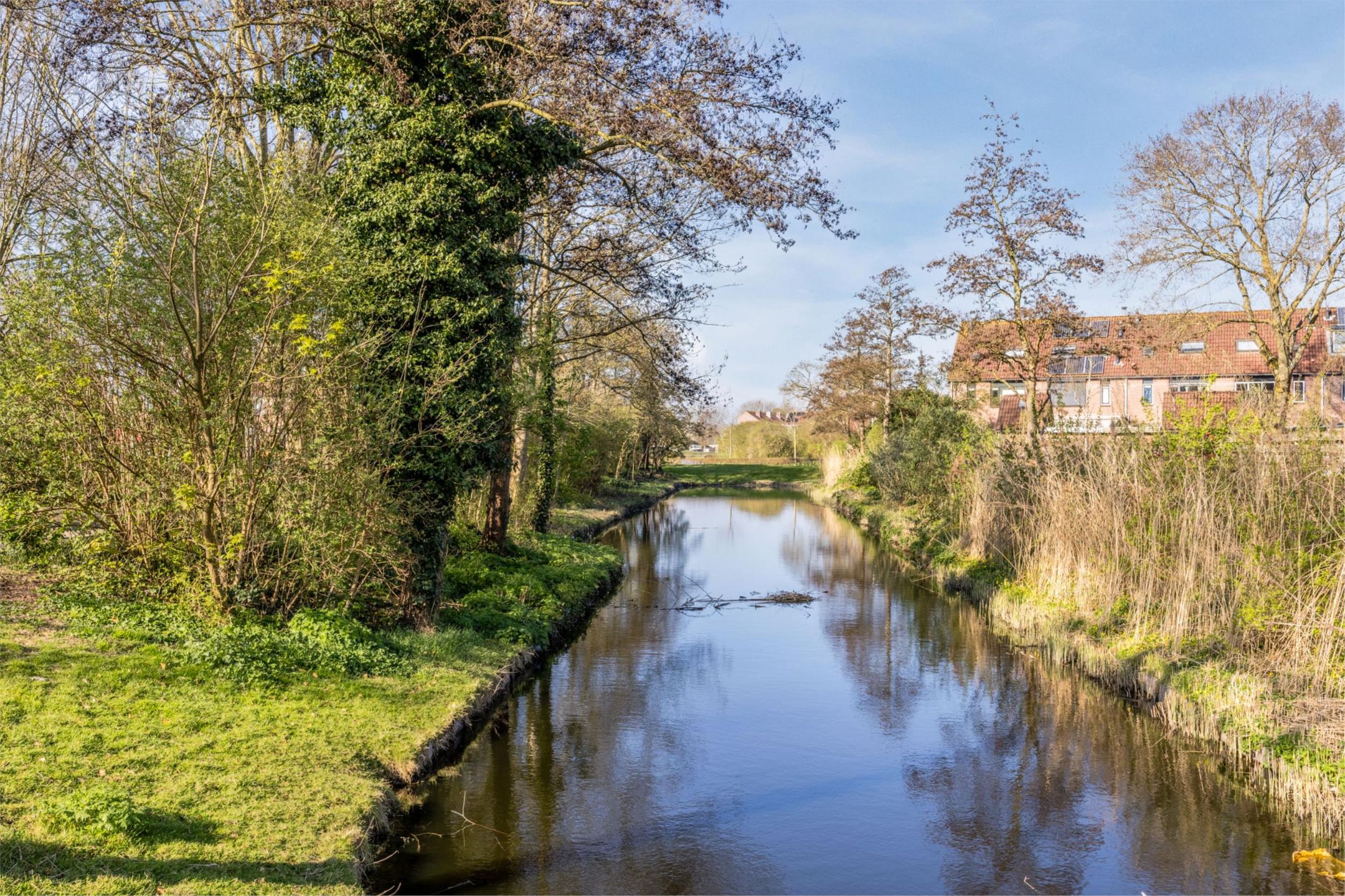 Photo 42 of Glasblazer 20