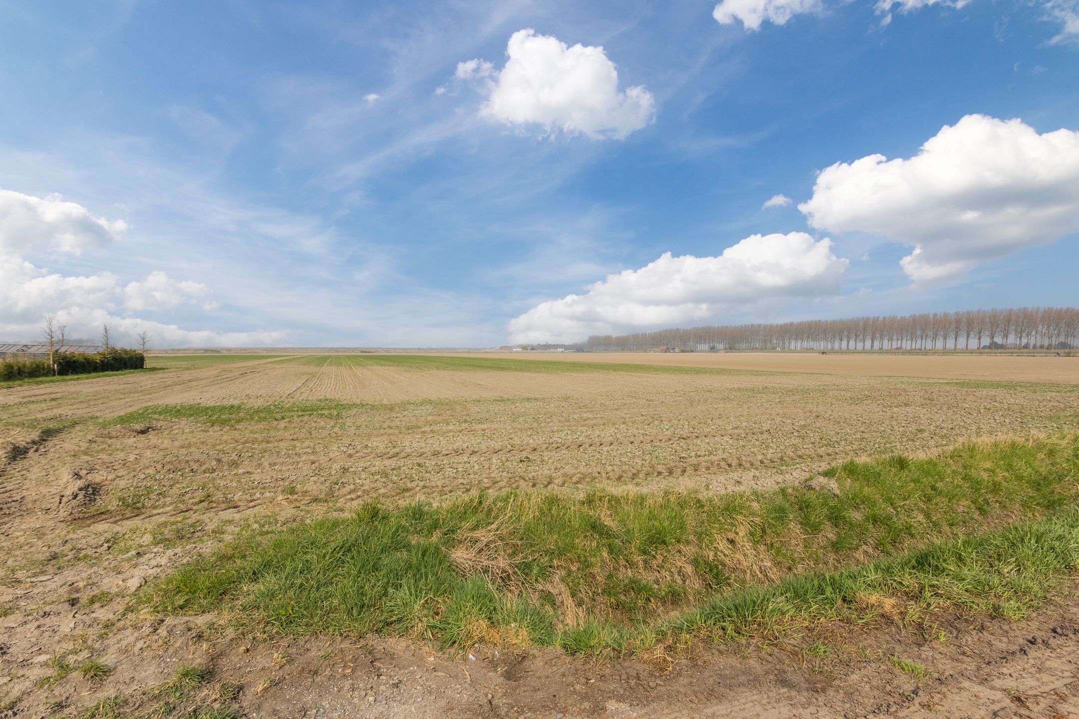 Foto 33 van Meijland 8