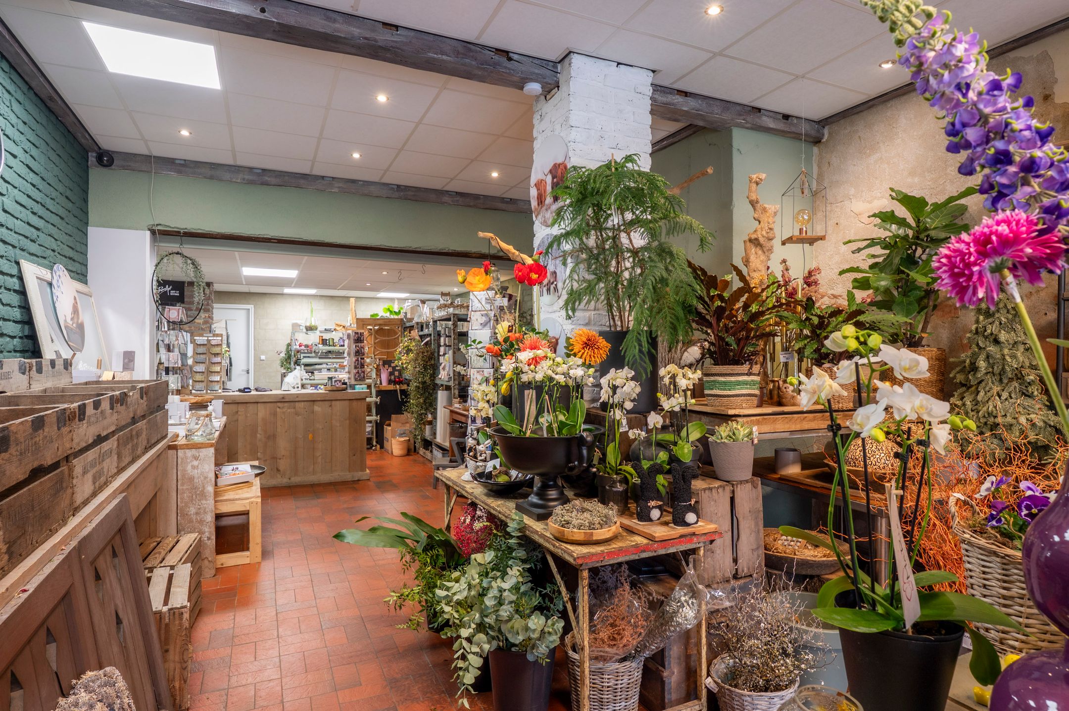 Foto 6 van Rijksweg Noord 29-A