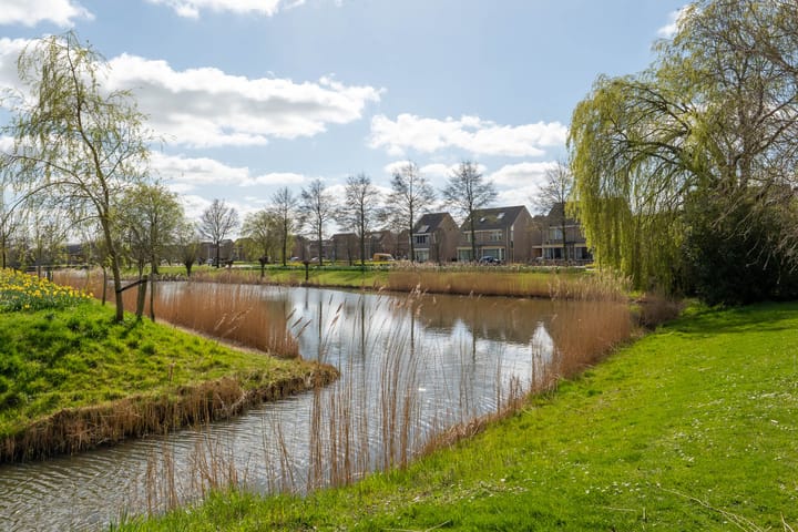 Foto 52 van Waterhoen 60