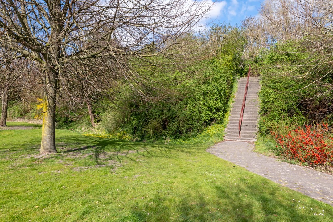 Foto 53 van Waterhoen 60