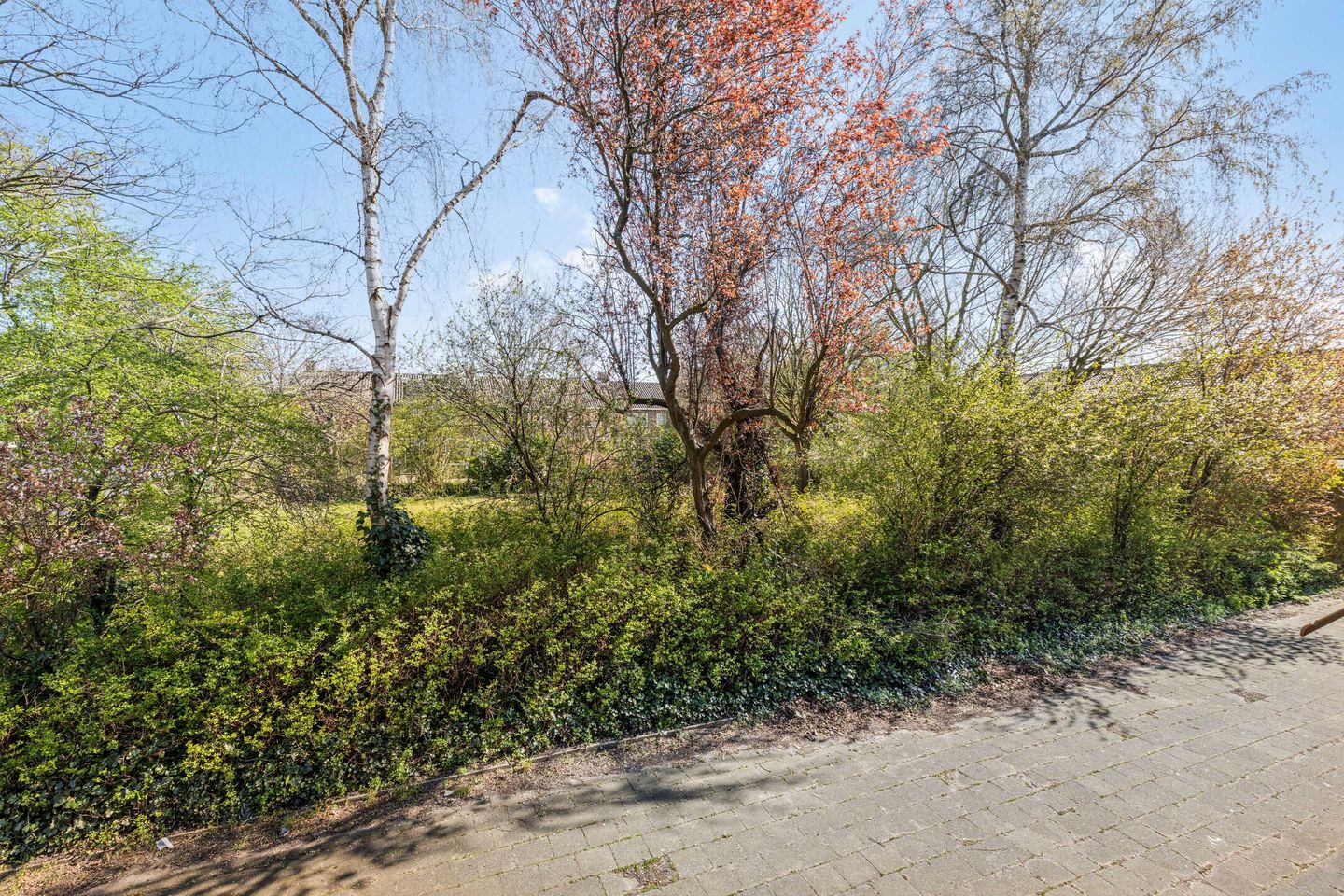 Foto 25 van Beethovenstraat 30