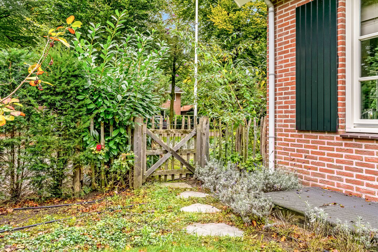 Foto 49 van Gezichtslaan 34