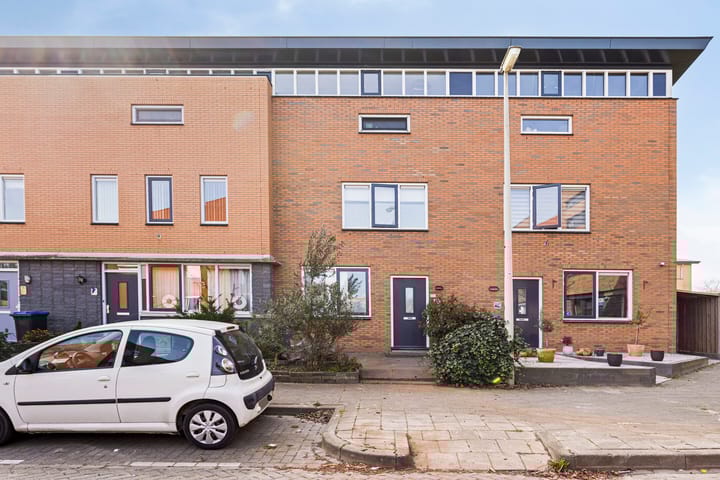 Foto 1 van IJsvogel 45