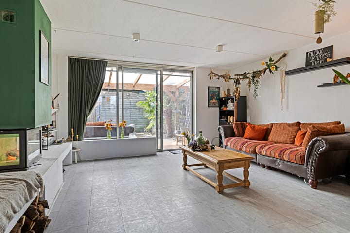 Foto 2 van IJsvogel 45