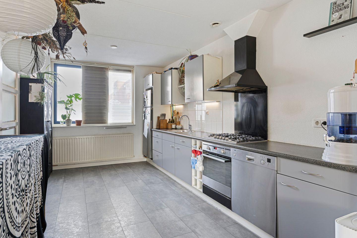 Foto 5 van IJsvogel 45