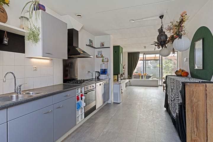 Foto 6 van IJsvogel 45