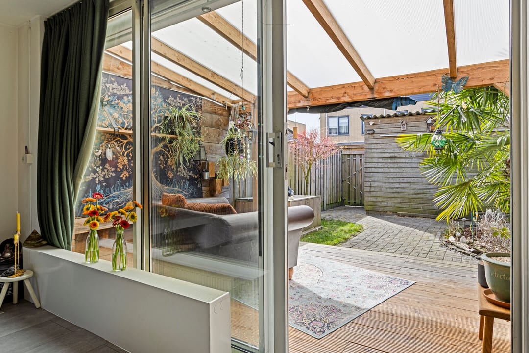 Foto 7 van IJsvogel 45