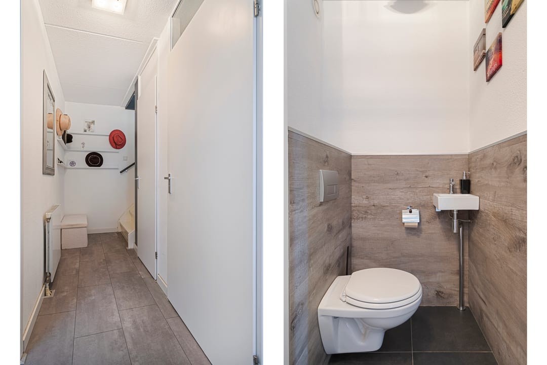 Foto 8 van IJsvogel 45