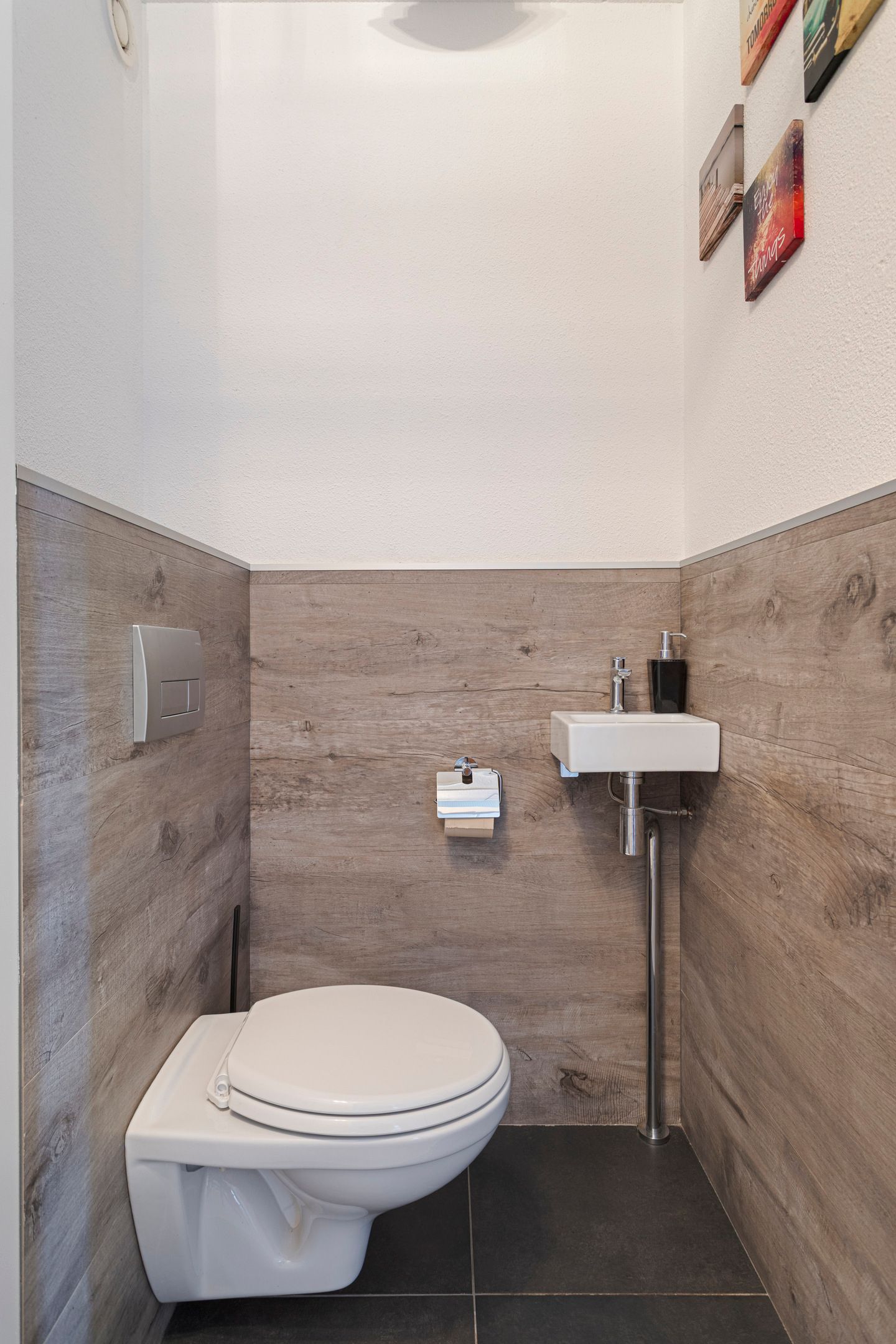 Foto 9 van IJsvogel 45