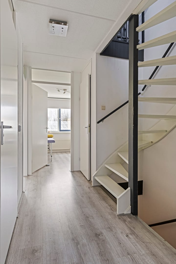 Foto 10 van IJsvogel 45