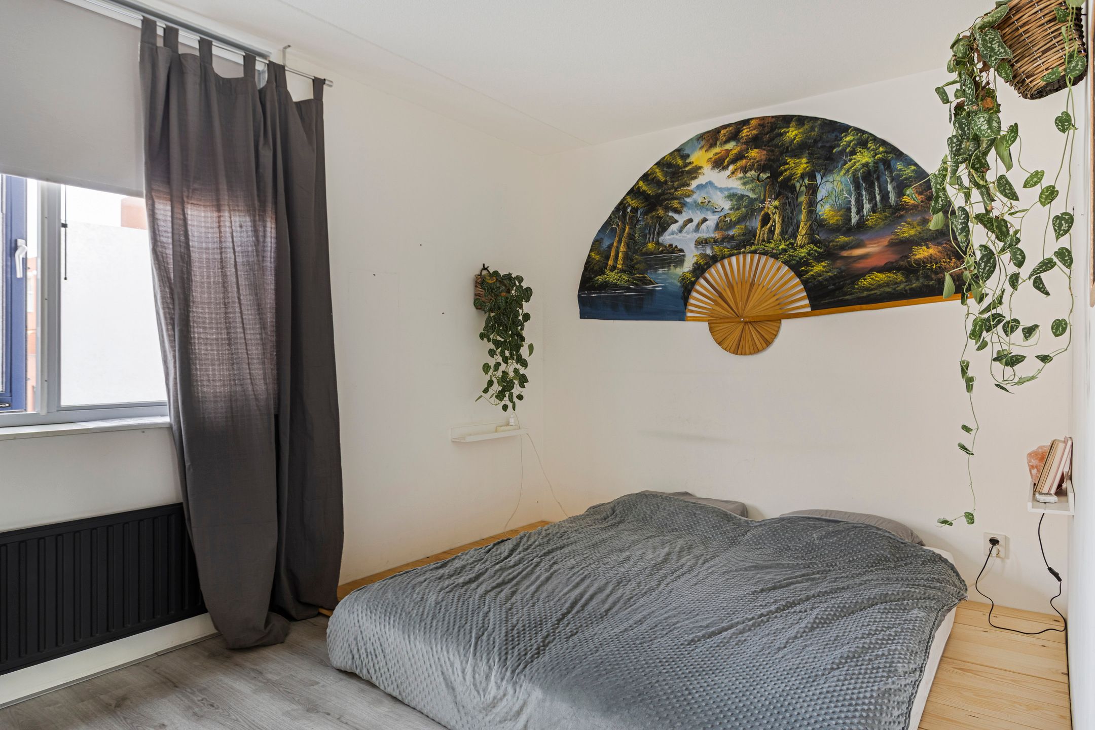 Foto 12 van IJsvogel 45