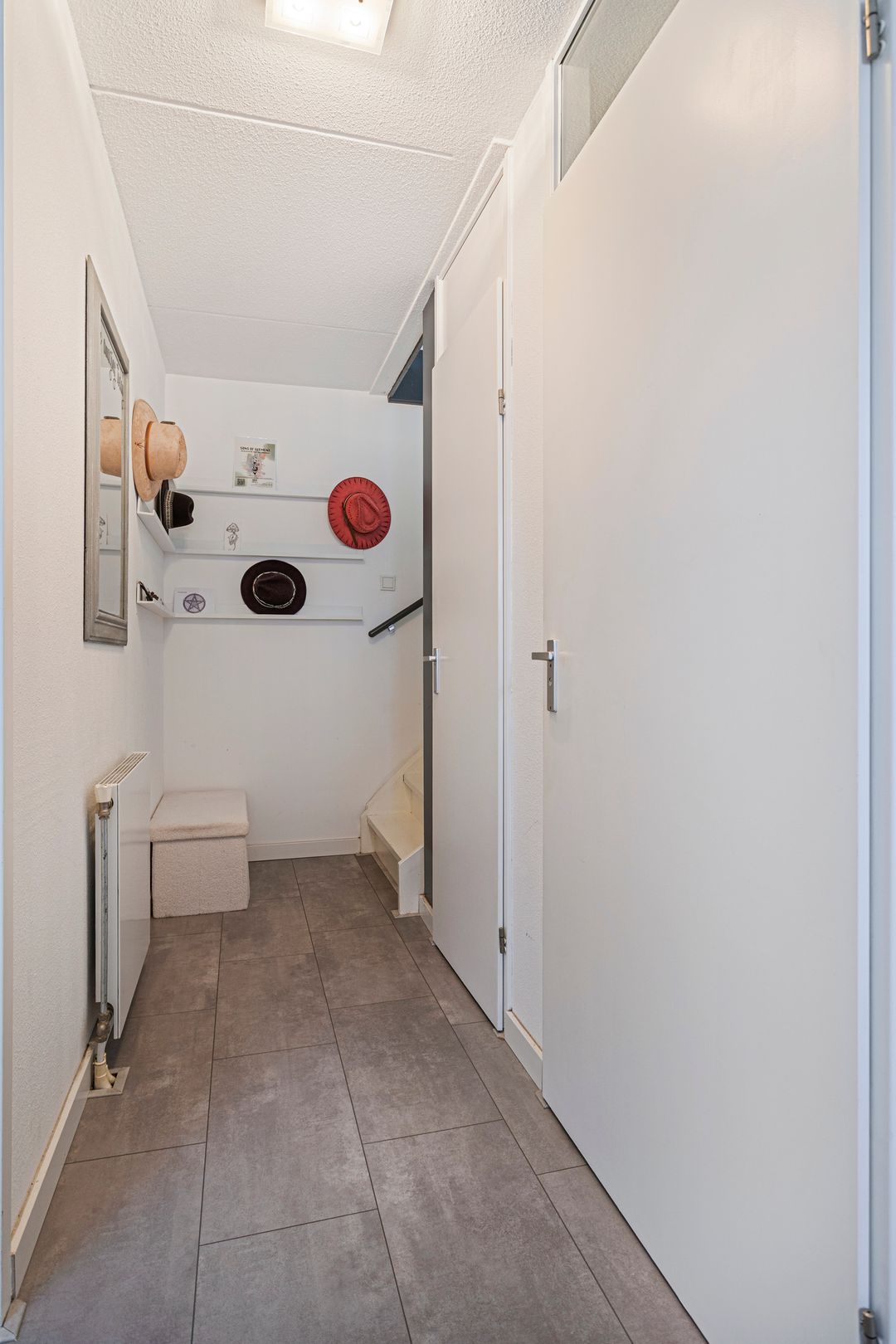 Foto 16 van IJsvogel 45