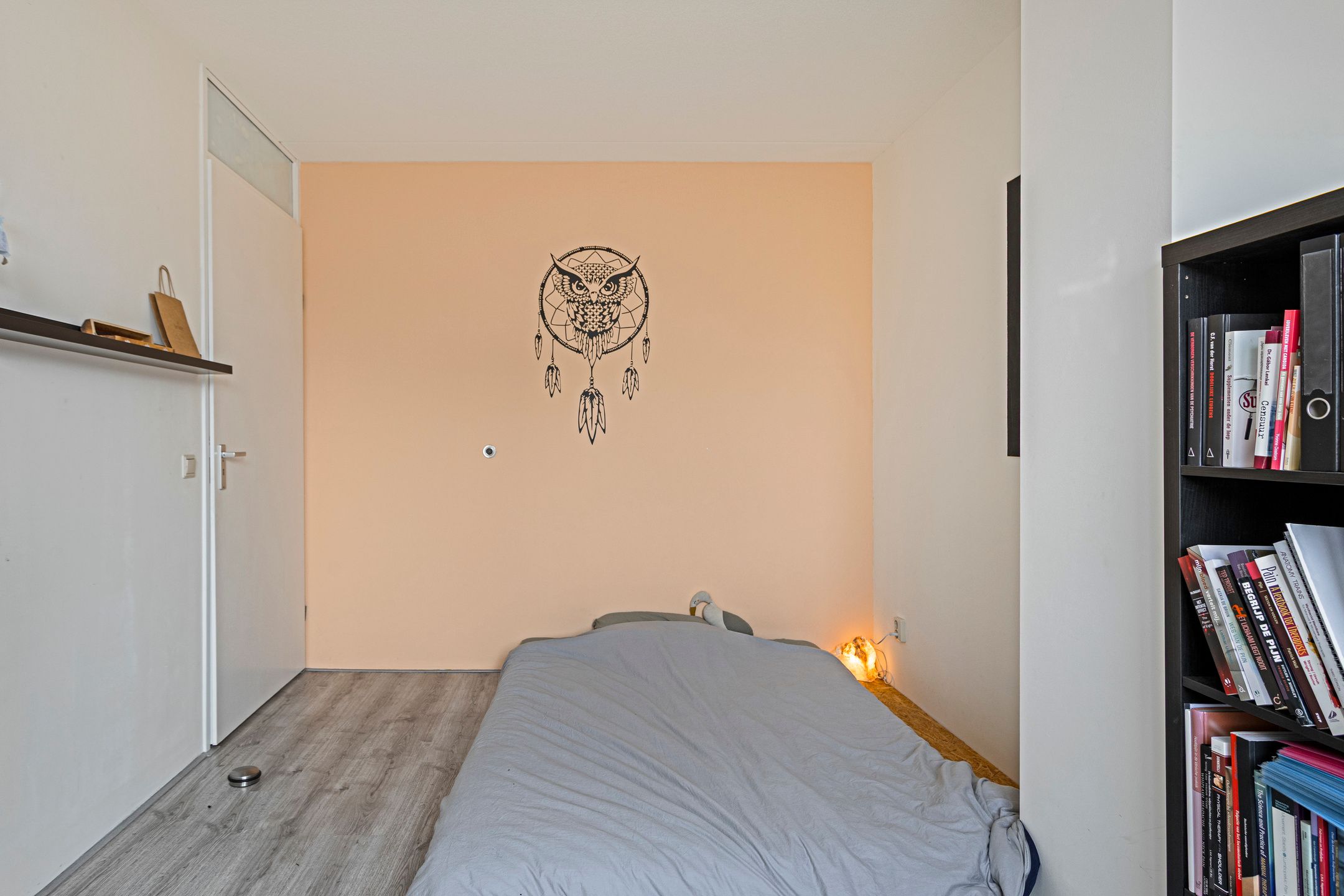 Foto 18 van IJsvogel 45