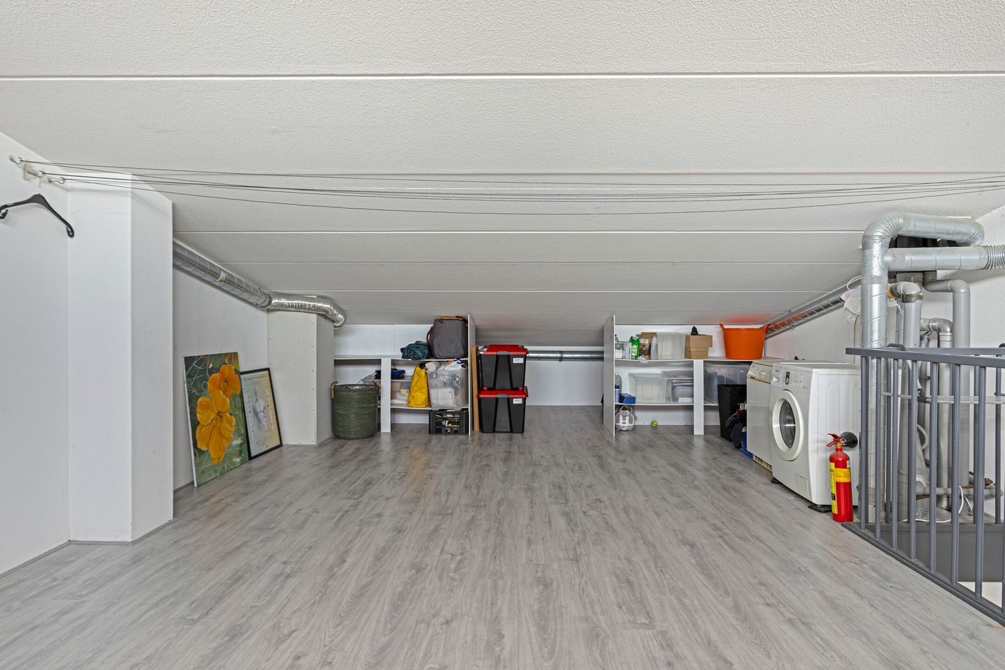 Foto 20 van IJsvogel 45