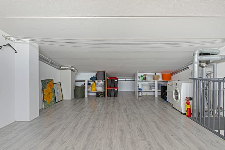 Foto 20 van IJsvogel 45