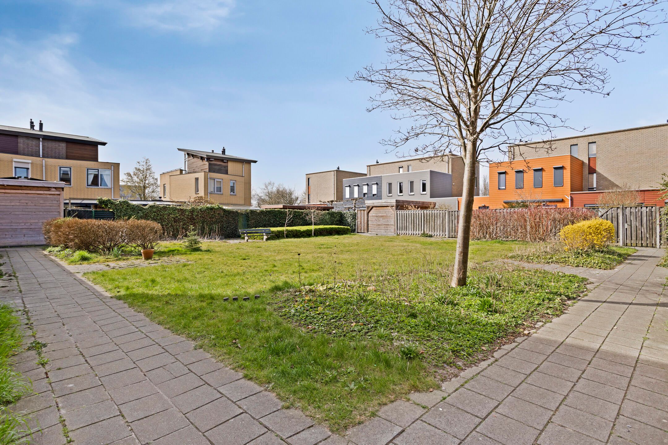 Foto 24 van IJsvogel 45