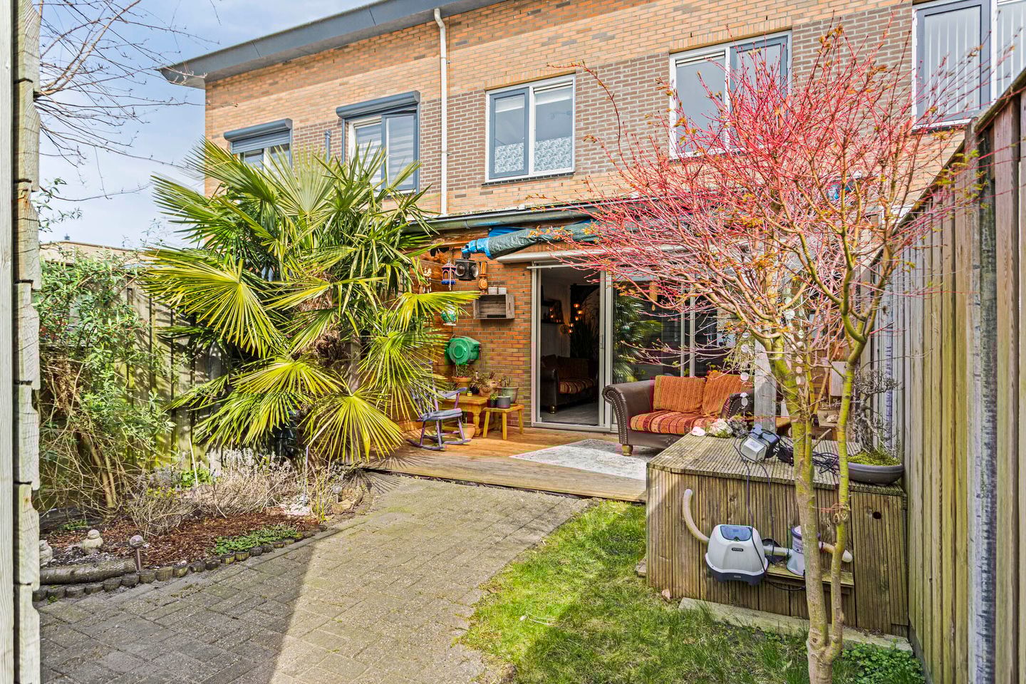 Foto 25 van IJsvogel 45