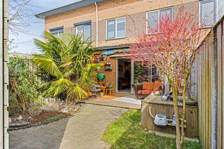 Foto 25 van IJsvogel 45