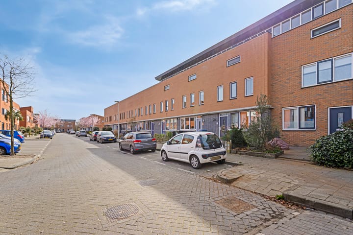 Foto 26 van IJsvogel 45