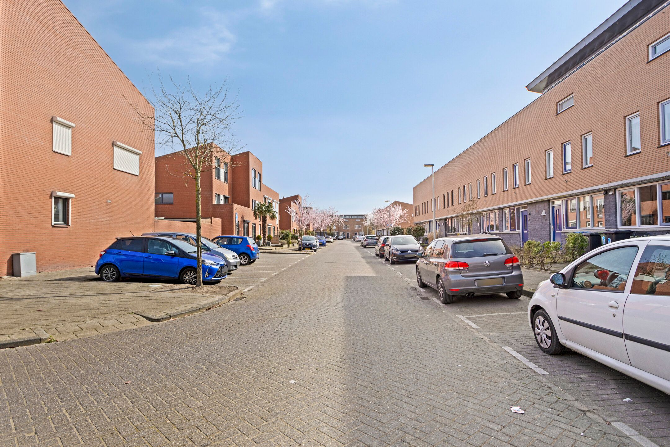 Foto 27 van IJsvogel 45