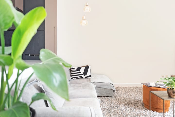 Foto 19 van Laaxumstraat 54