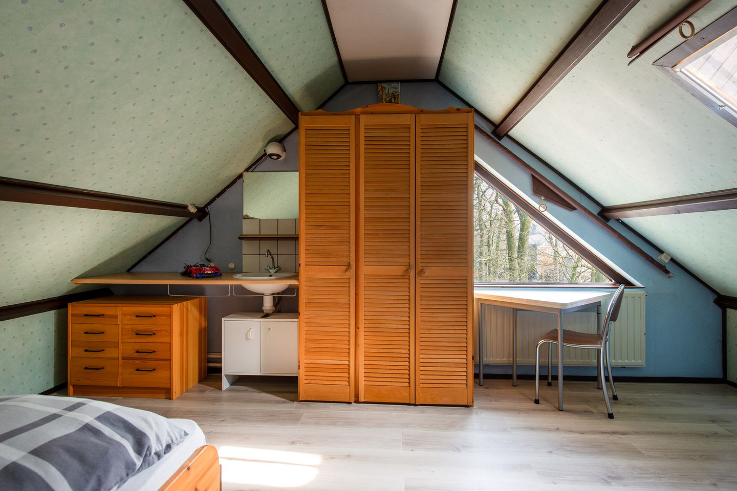 Photo 29 of Begoniastraat 45