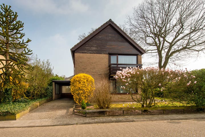 Foto 43 van Begoniastraat 45