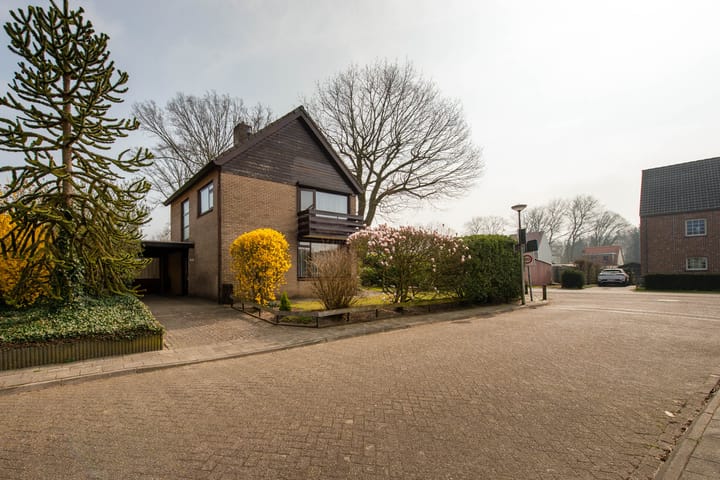 Foto 45 van Begoniastraat 45