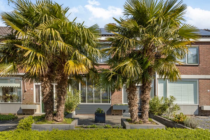 Foto 24 van Jacob Catsstraat 19